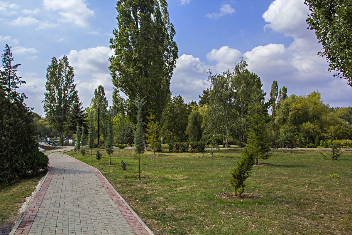 В парке - Валентин Семчишин