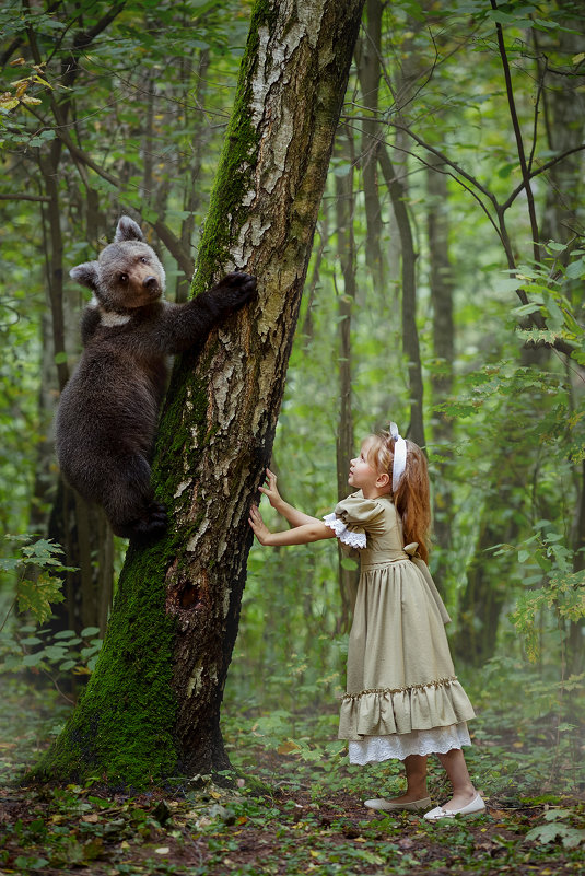 В лесу - Ольга Князева