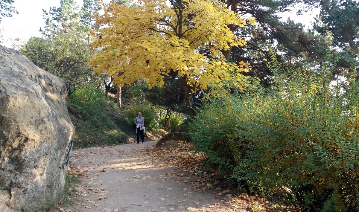 Осенняя прогулка - Galina Solovova