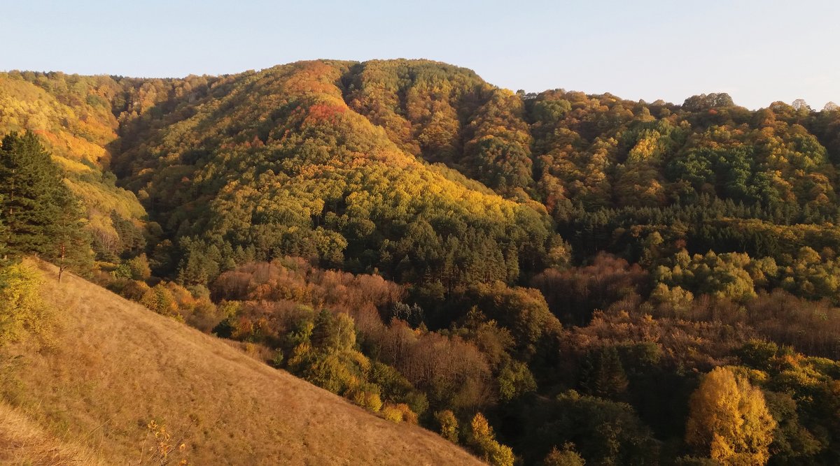 Осенний пейзаж в горах - Galina Solovova