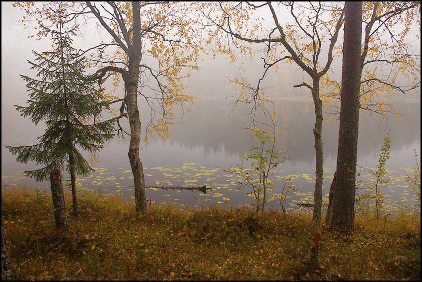 Время туманов - Kventin Natabos 