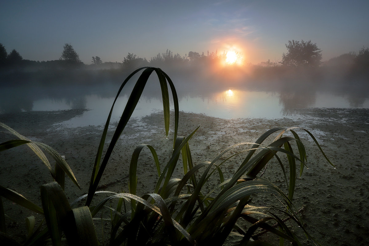 Рассвет,туман,август..... - Андрей Войцехов