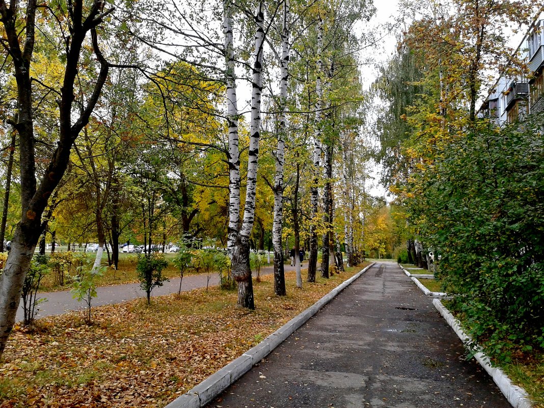 городская среда - Владимир 