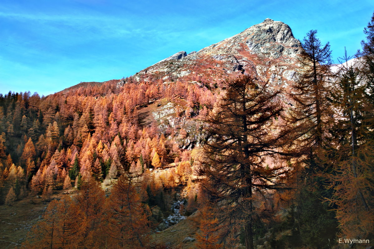 Осень в горах - Elena Wymann