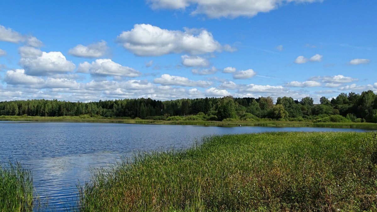 Озёра Смоленщины (из поездки по области). - Милешкин Владимир Алексеевич 