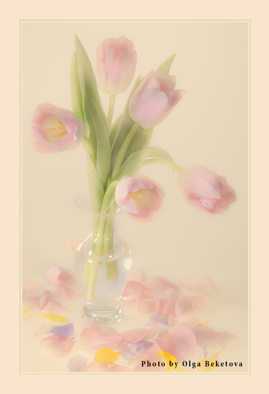 Тюльпаны в стеклянной вазочке - Ольга Бекетова