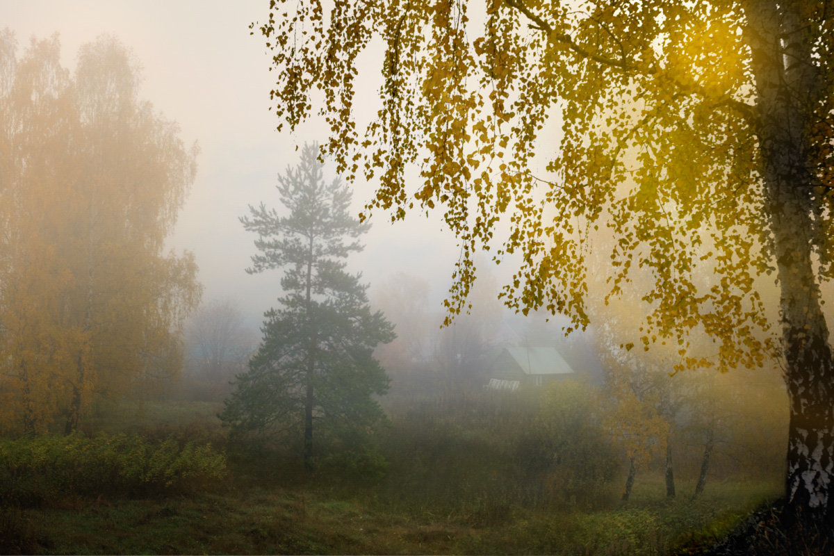 Сентябрьское туманное утро - Ольга Соколова