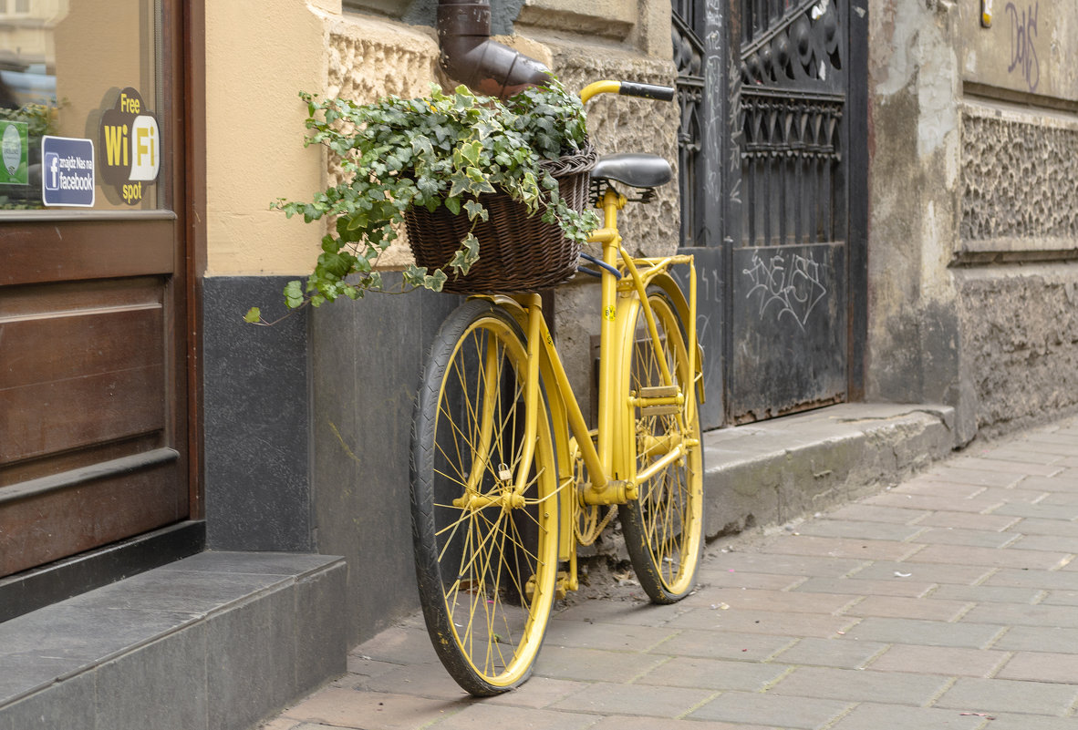 Жёлтый велосипед . - Светлана Мельник