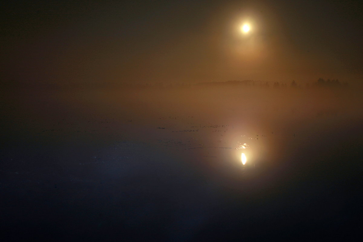 Туман над озером... - Нэля Лысенко