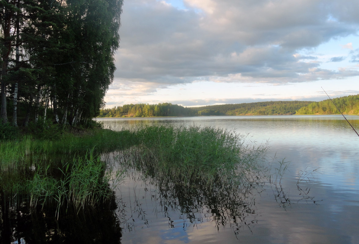 Ладога - Vyacheslav Gordeev