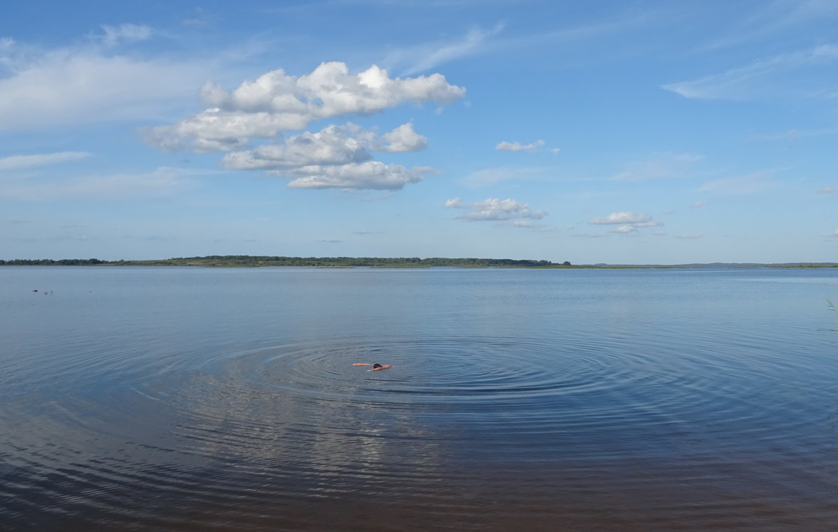 Освейское озеро - PRP 