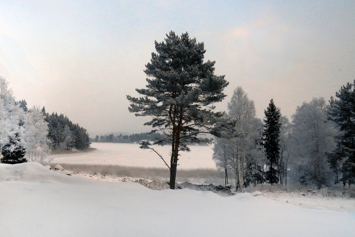 Зима на Ладоге - Vyacheslav Gordeev