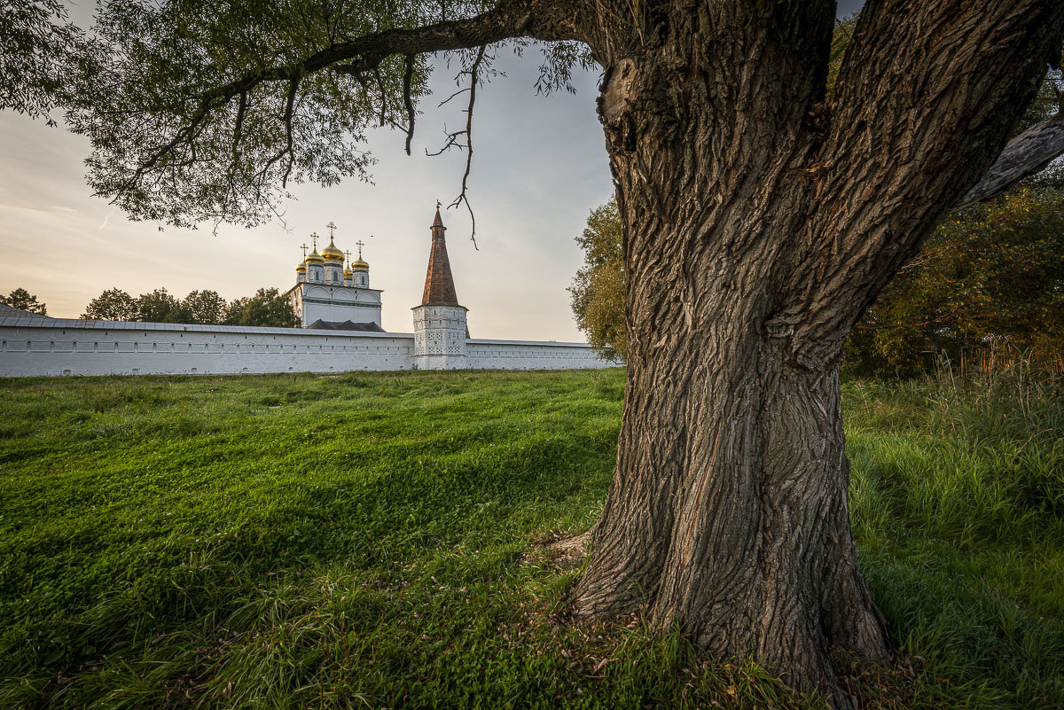 *** - Николай Галкин 