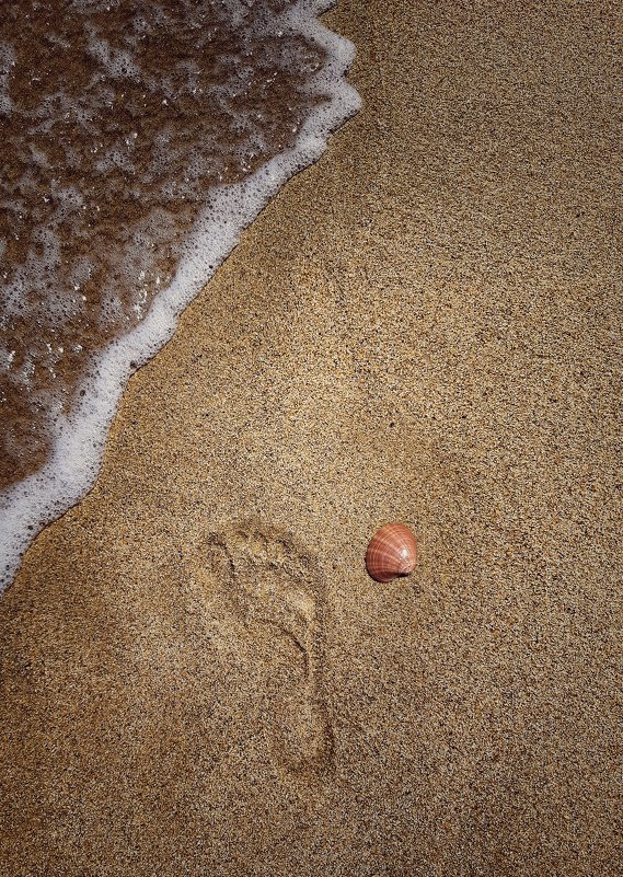 Beach, Aegean sea, shells, steps.... - Lilek Pogorelova