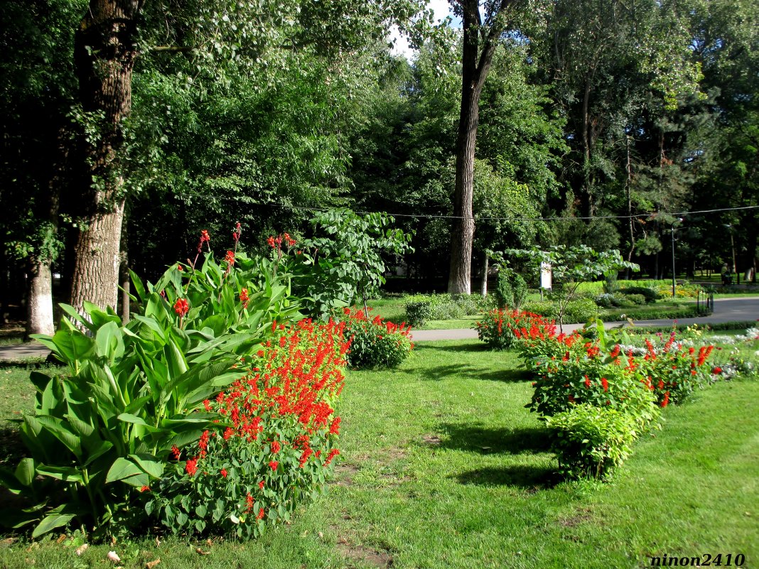 В городском парке - Нина Бутко