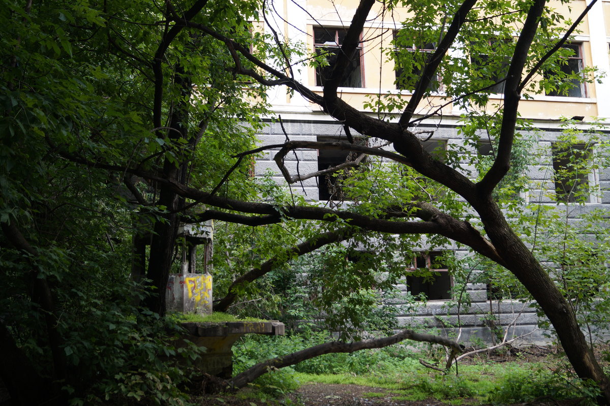 Заброшенное/ Abandoned - Елена Елена