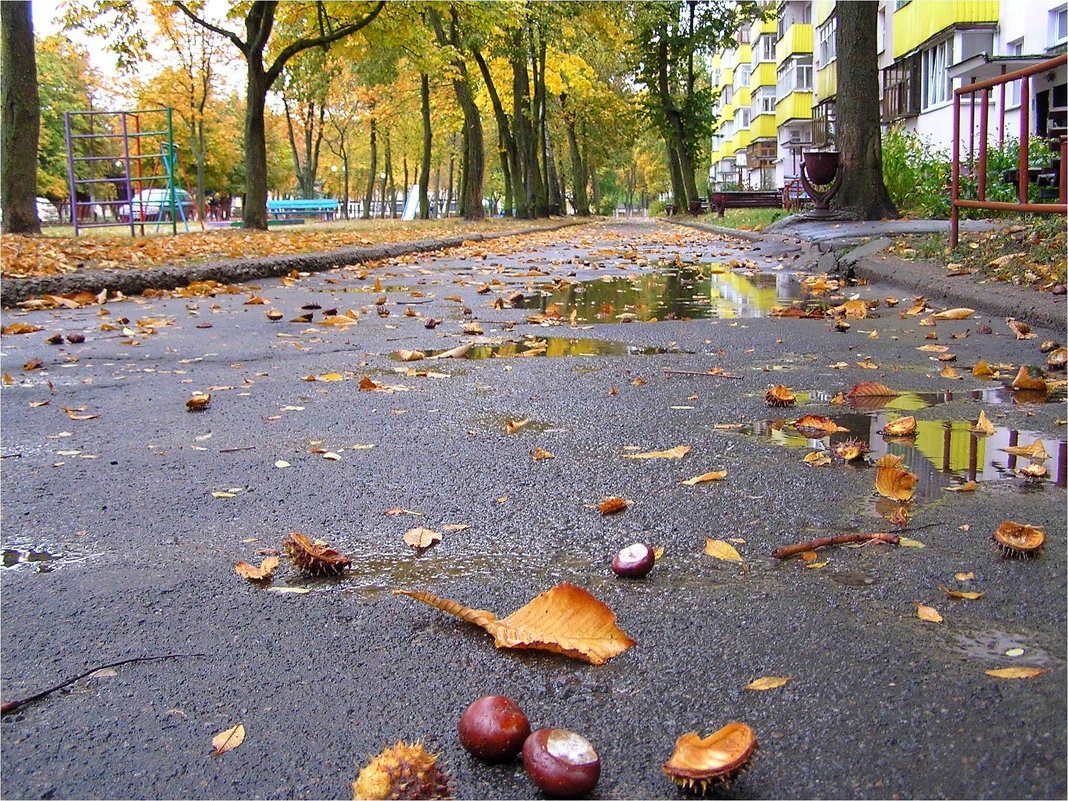 Дождливый день - Геннадий Худолеев Худолеев