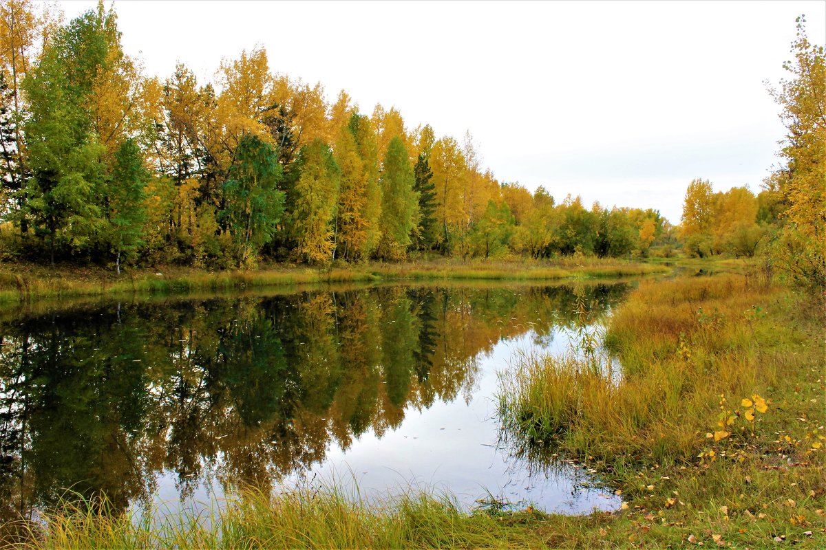 Осень природа Красноярск