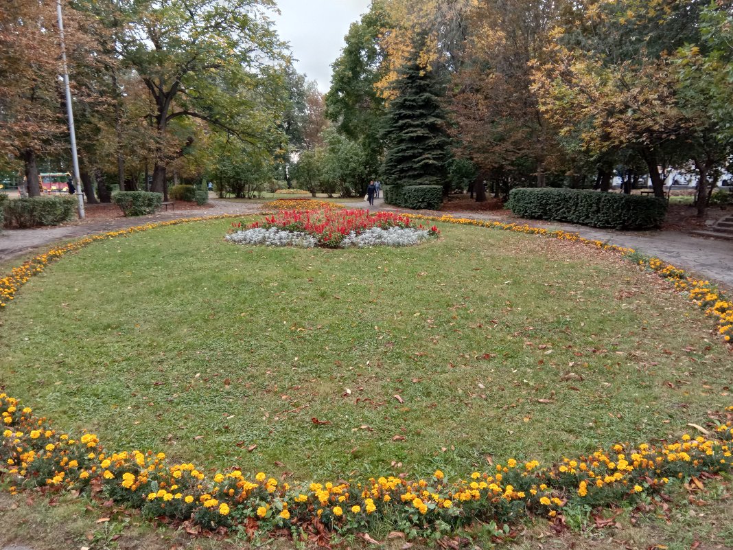 Осень в Наташином парке - Tarka 