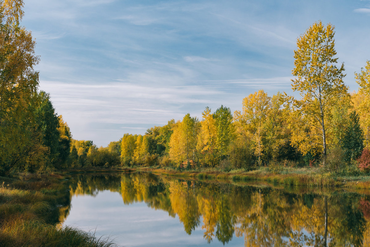 Tatyshev park, Russia, Siberia, Krasnoyarsk. - Igor Novikov