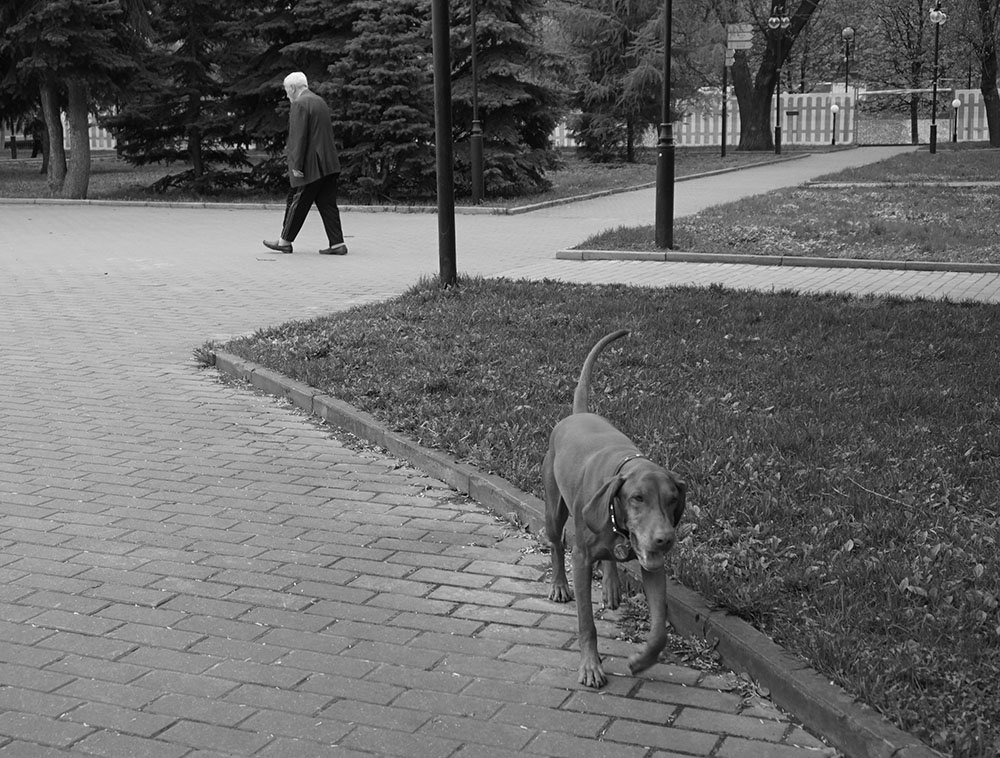 По своим делам... - Лариса Корженевская