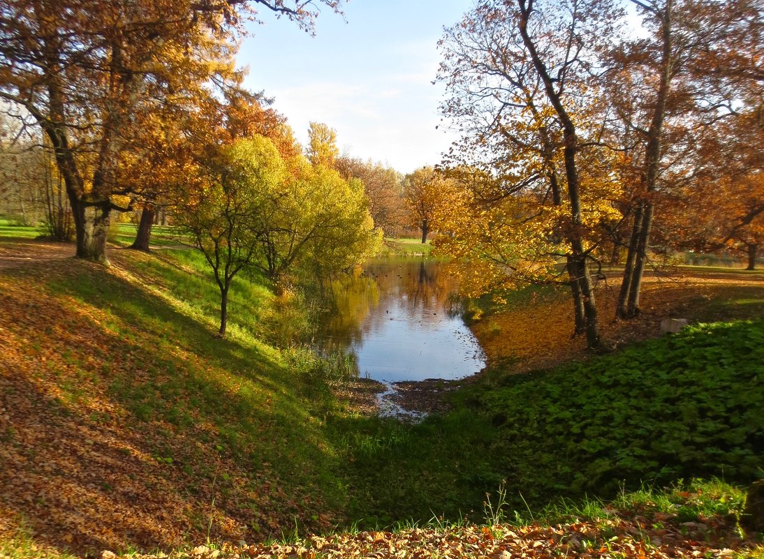 осень в Царском Селе - Елена 