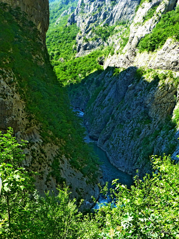 Каньон реки Тара - Raduzka (Надежда Веркина)