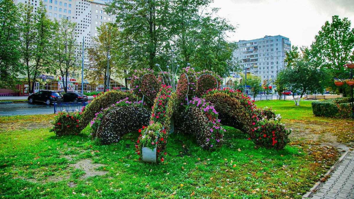 Осень. Аллея Королёва - Пётр Сухов