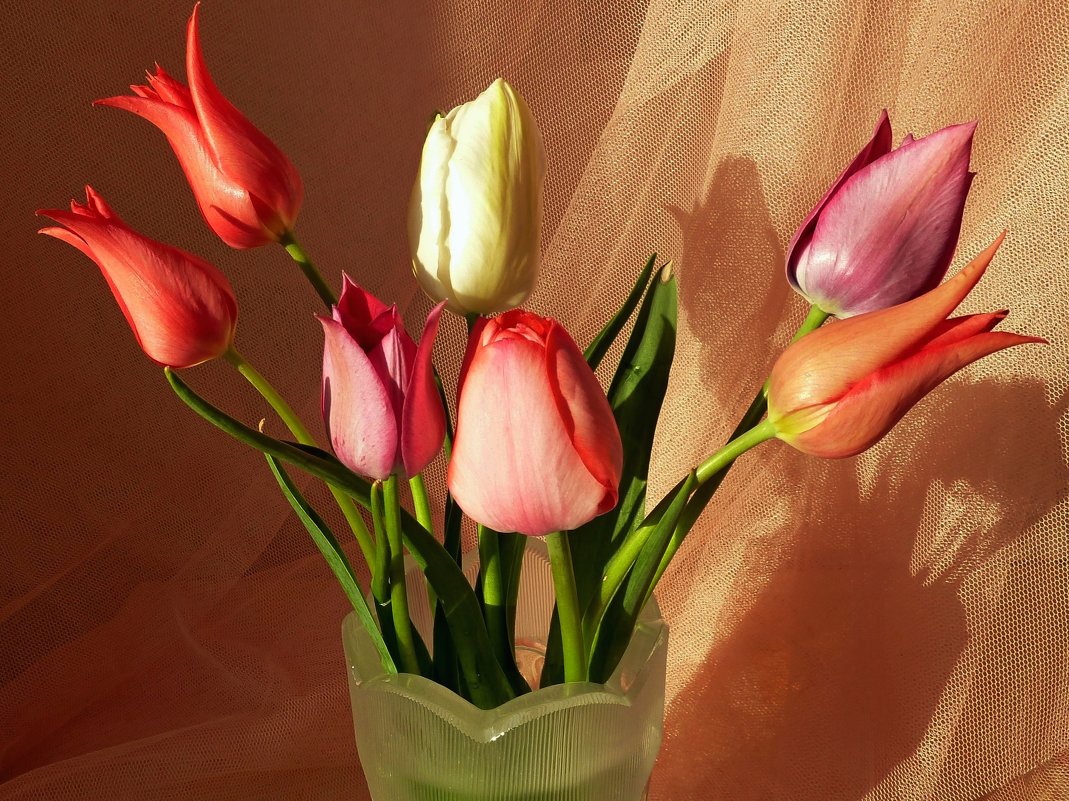 Букет тюльпанов - подарок весны! - Лидия Бараблина