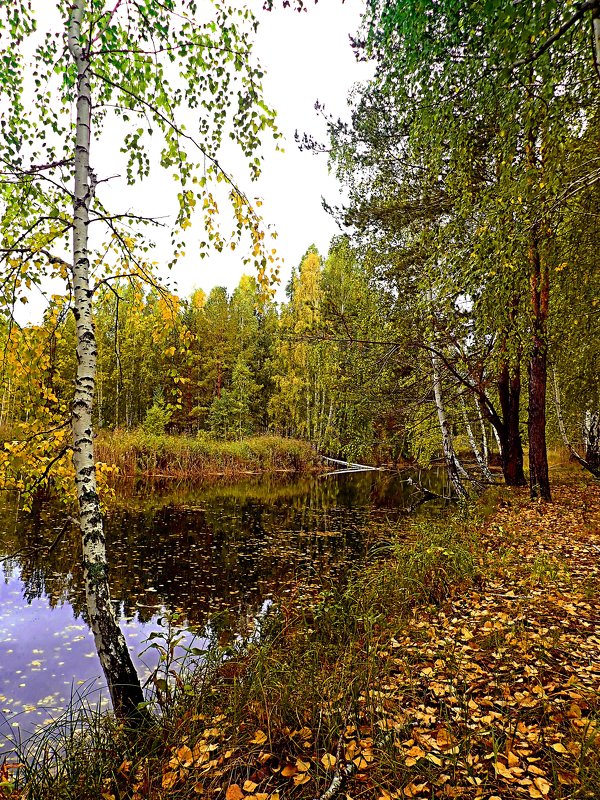 Золотая пора... - Геннадий Ячменев