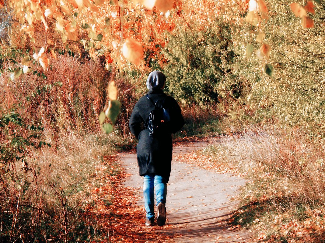 Leaving in autumn.... - Андрей Головкин