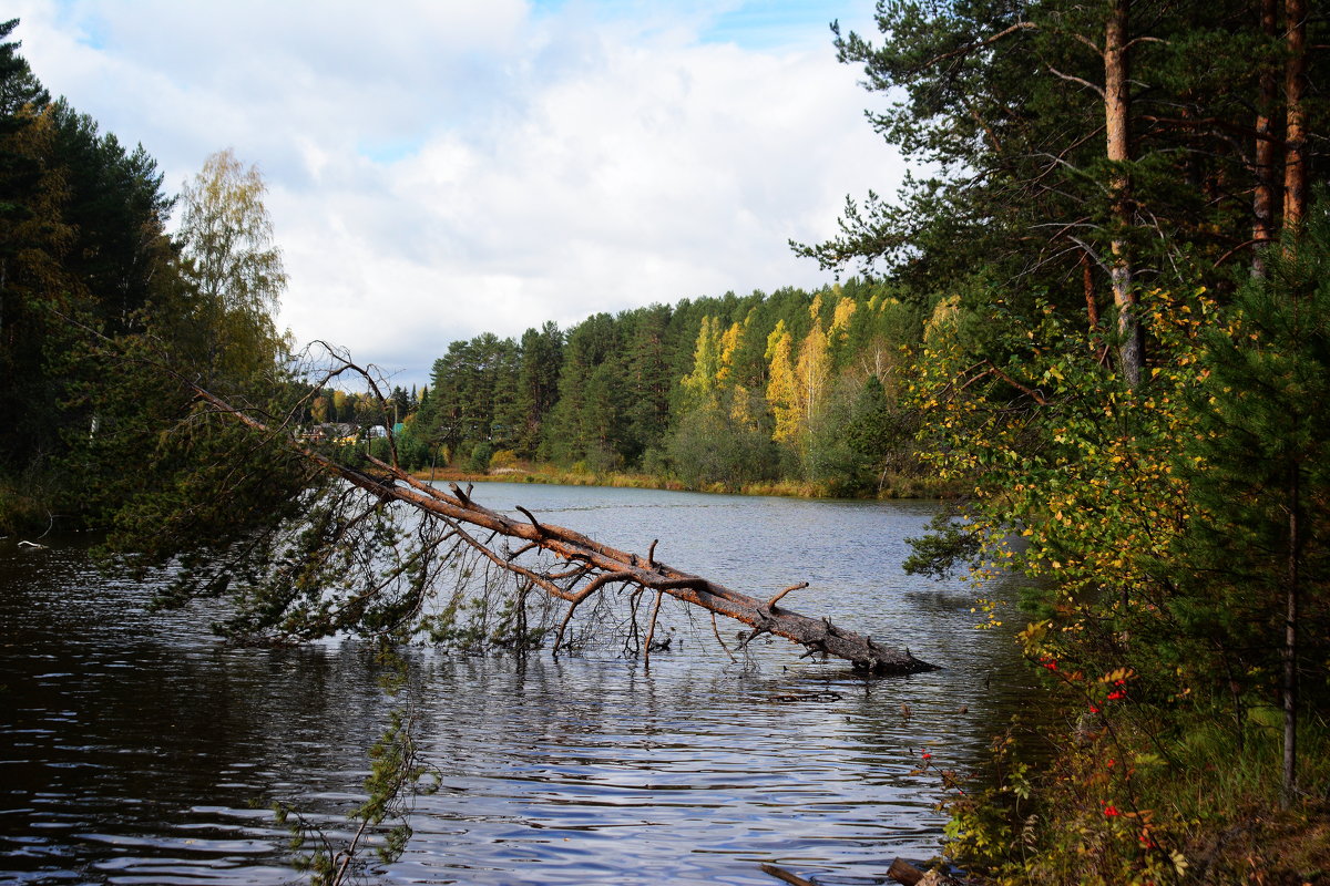 *** - Александр 