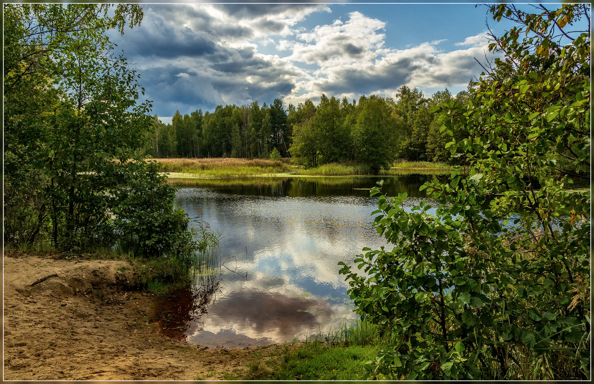 Лесное озеро, осень 2 - Андрей Дворников