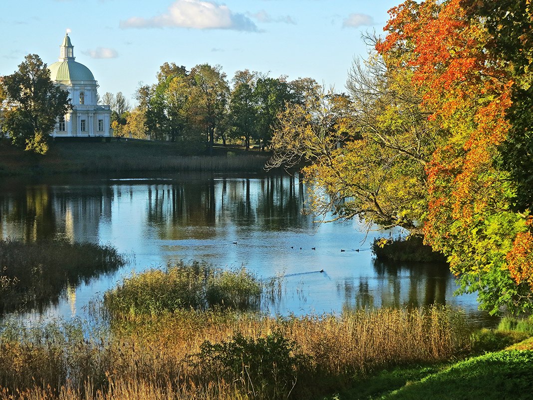 Ораниенбаум осенью - Елена 