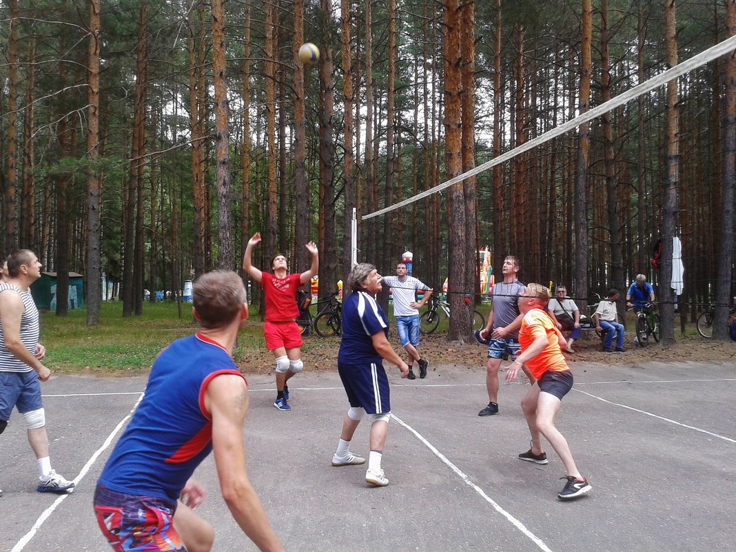 волейбол - Владимир 