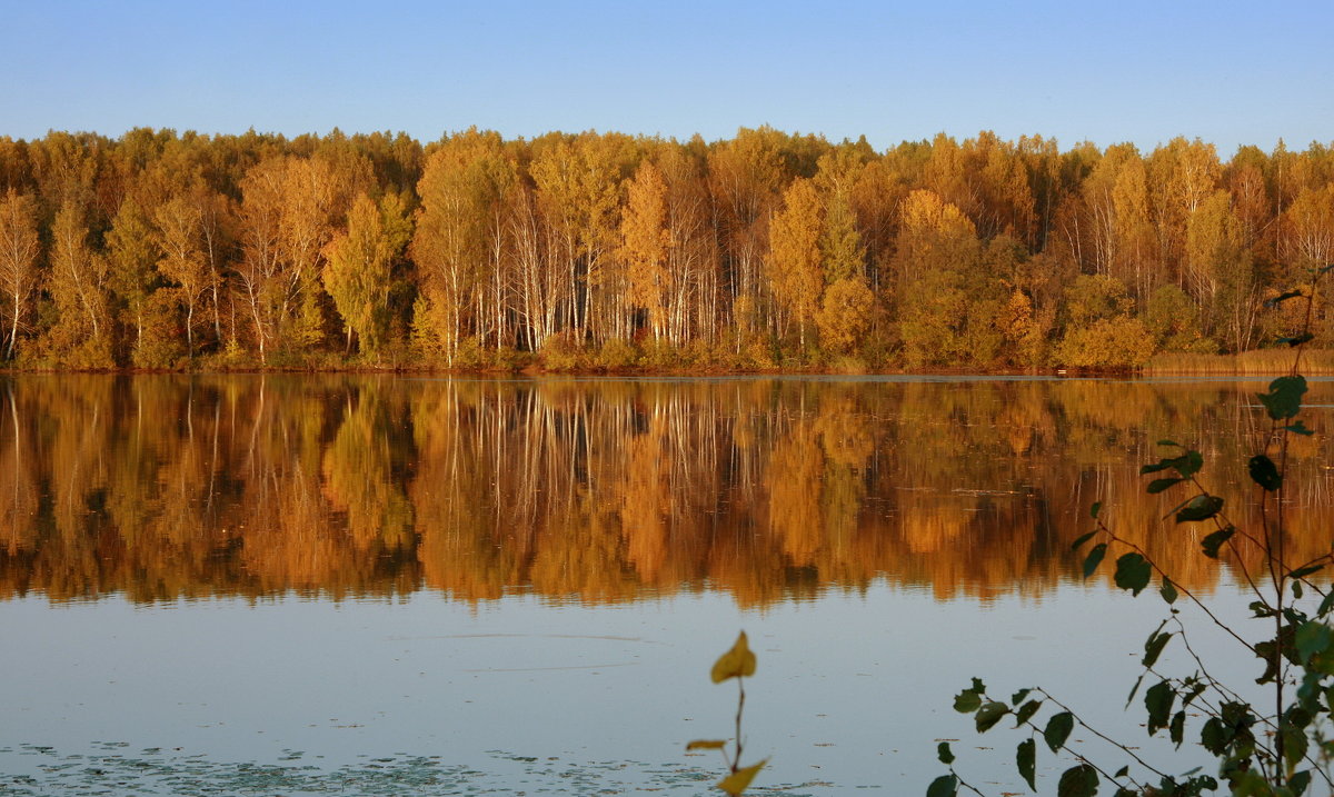 Осенних красок отраженье... - Нэля Лысенко