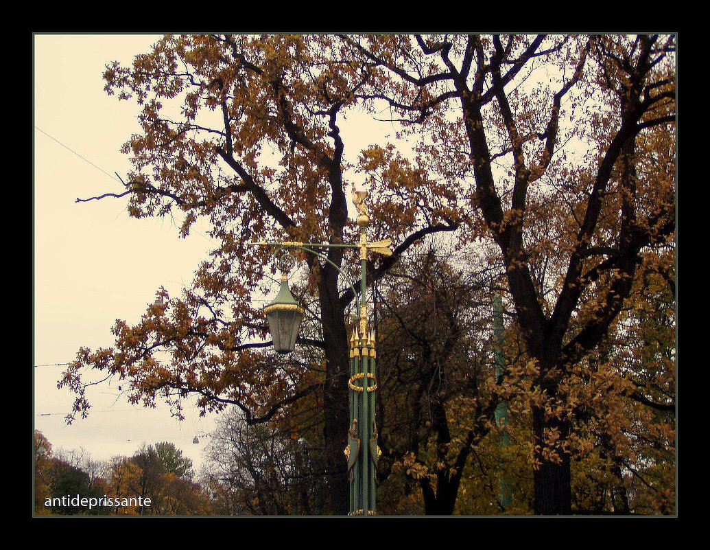 Осень в городе на Неве - vadim 