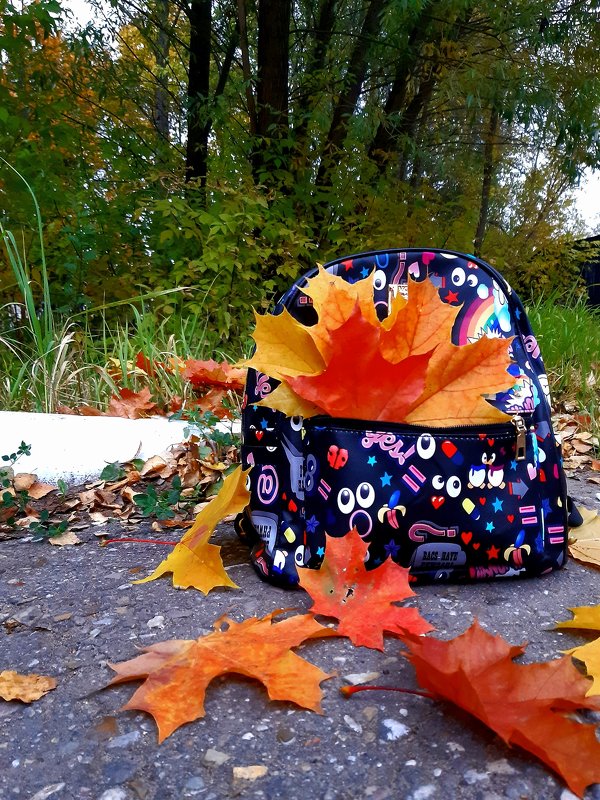 осень в рюкзаке - Анастасия 