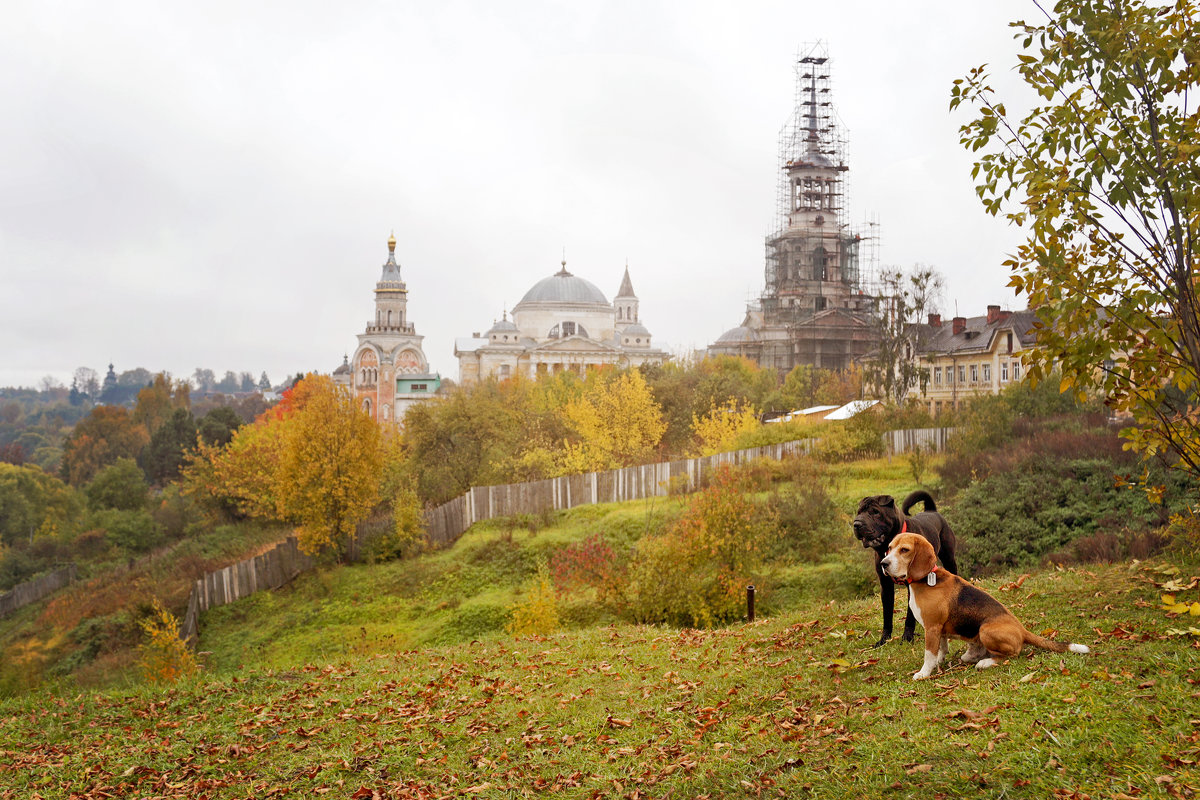 Древний Торжок. Вид на Борисоглебский монастырь с валов - Тата Казакова