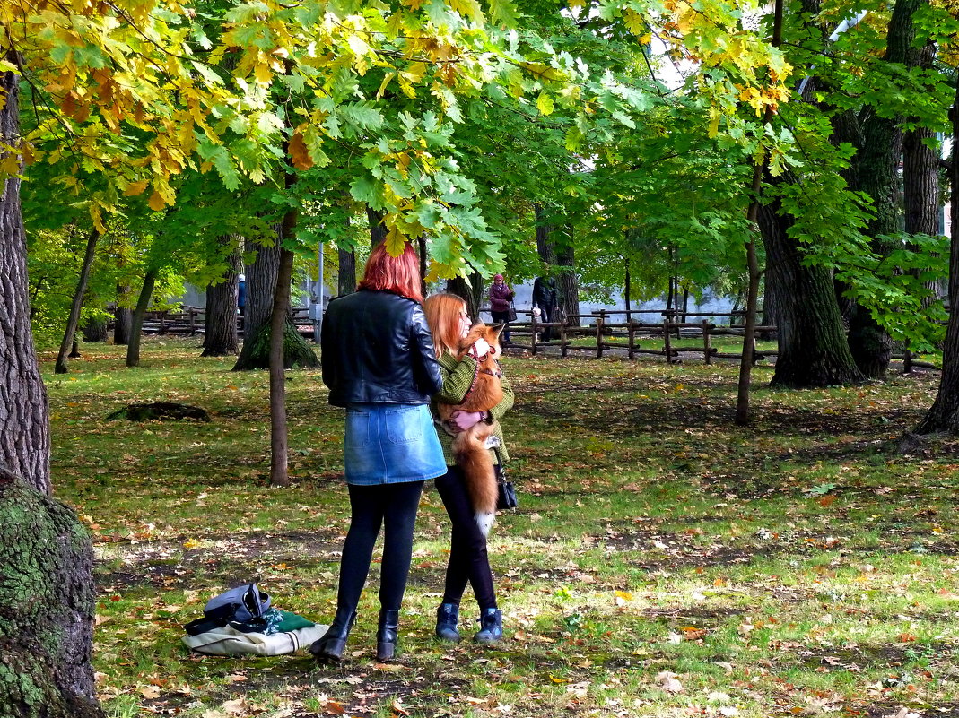 Девушки с лисой в парке - Лидия Бараблина