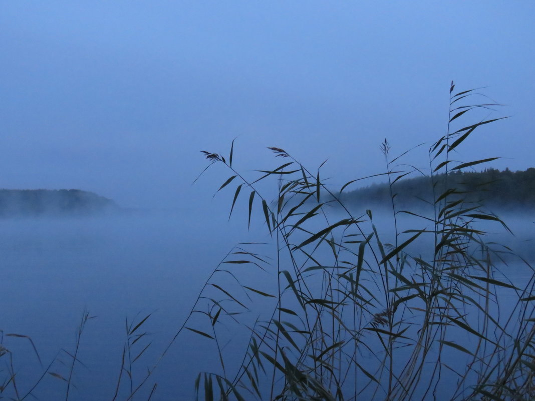 туман над озером - Галина 