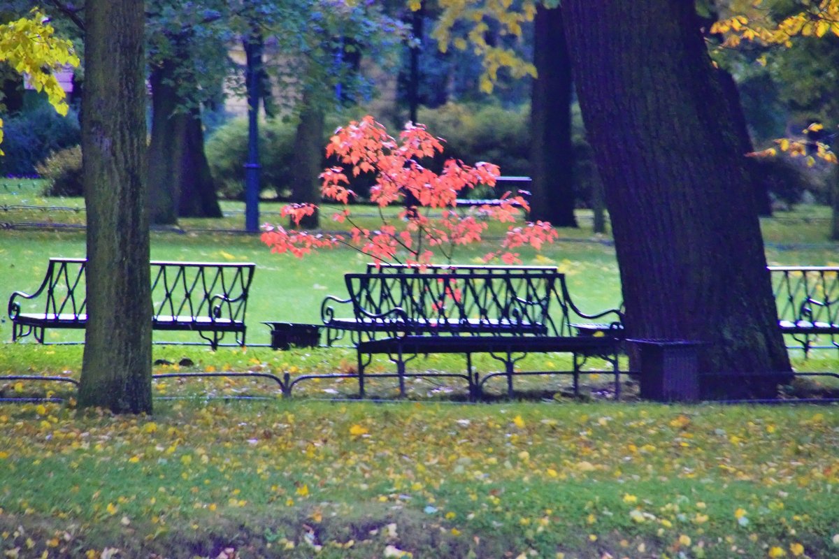 Осенний парк - And I go