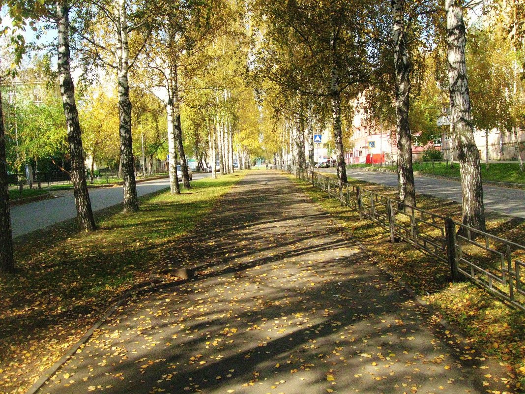 Осень в городе. - sav-al-v Савченко