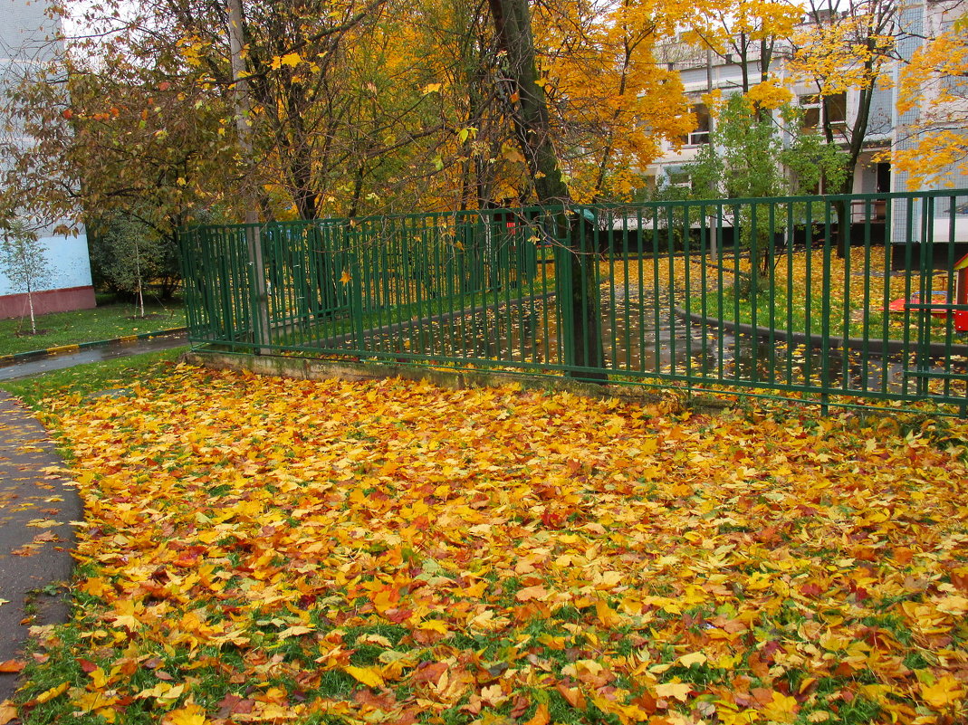 Осенний листопад - Ольга Довженко