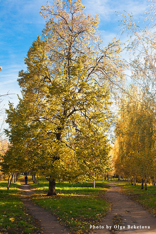 Осень в парке - Ольга Бекетова