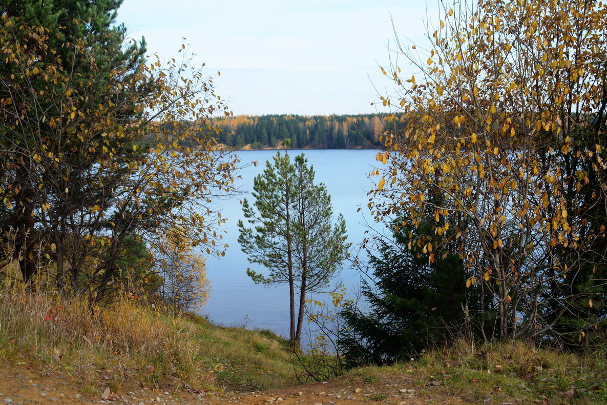 *** - Александр 