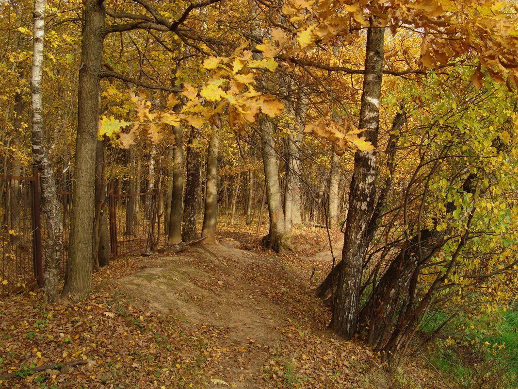 Самая короткая часть осени - Андрей Лукьянов