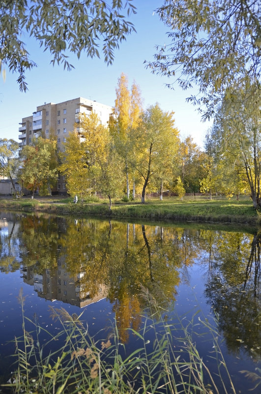 Осень в городе - Нина Синица