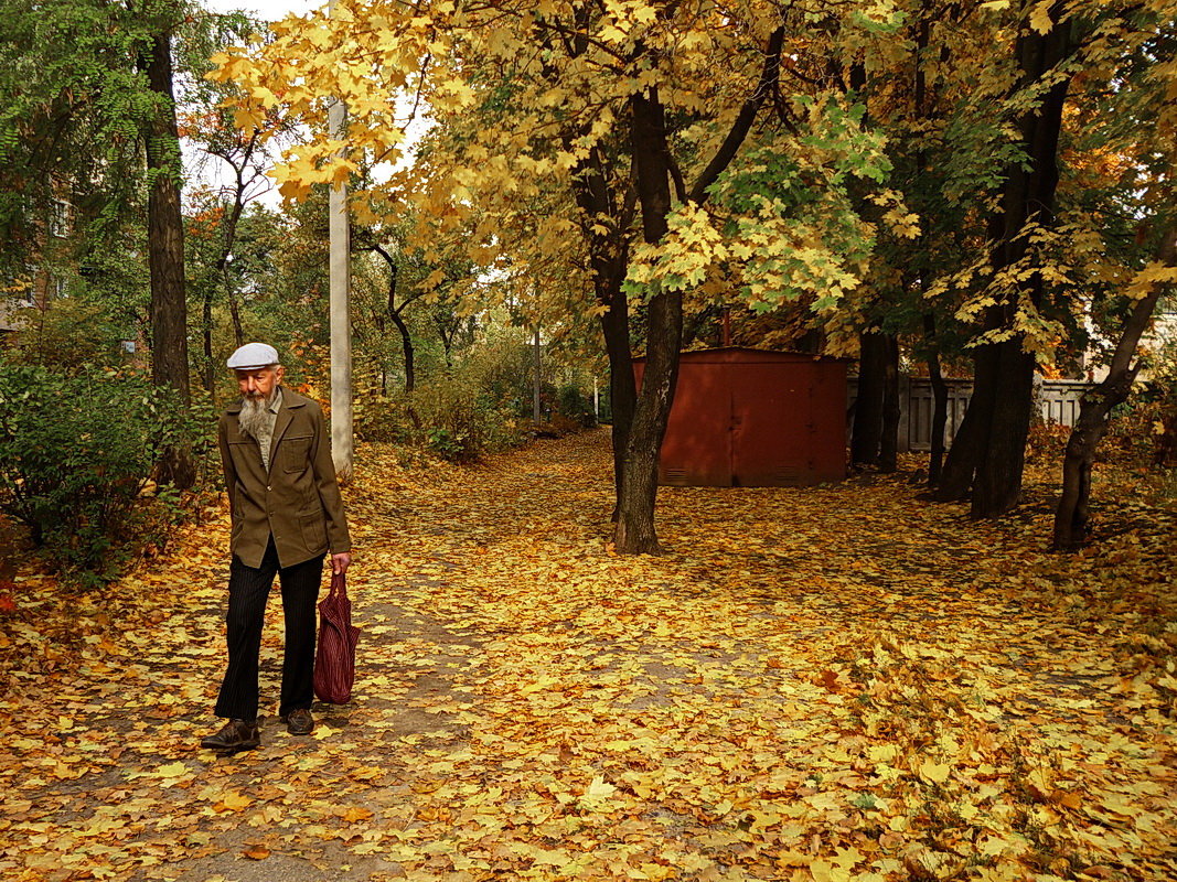 Осень жизни как и осень года - dana smirnova
