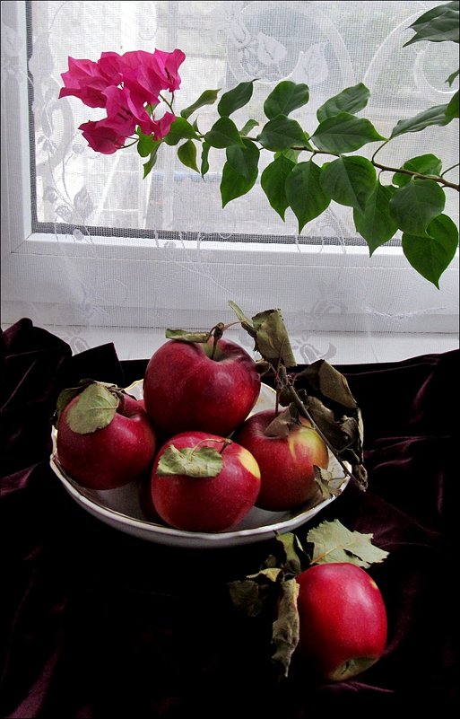 Бугенвиллея и яблоки - Нина Корешкова